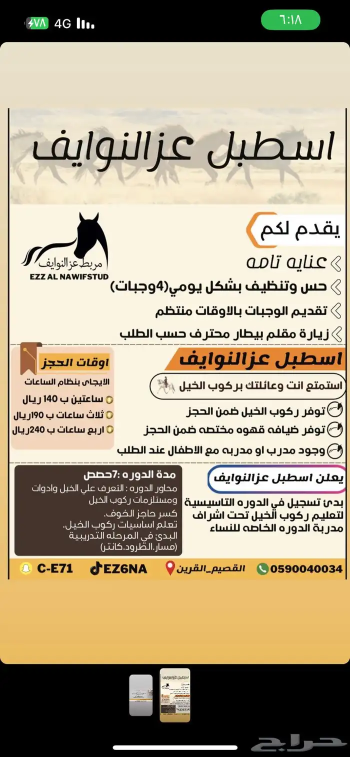 ايواء خيل تدريب اطفال   إلتقاط اوتاد   تدريب ركوب حر 0