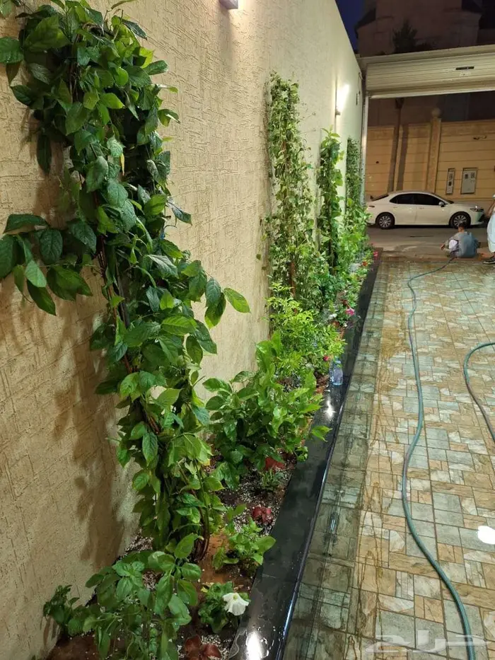أحواض زراعية 3