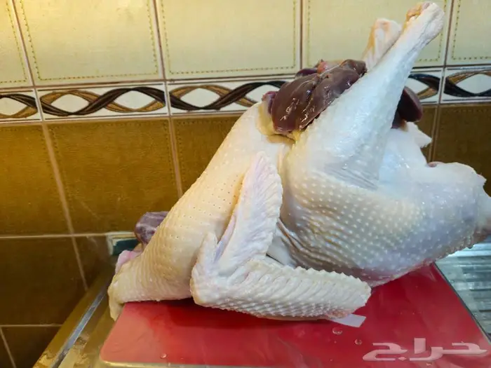 ديك رومي ذبح عند الطلب 2