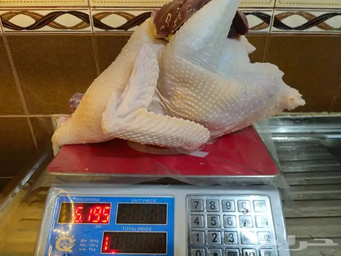 ديك رومي ذبح عند الطلب 1