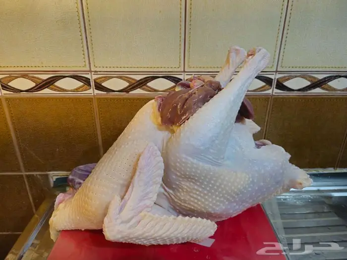 ديك رومي ذبح عند الطلب 0