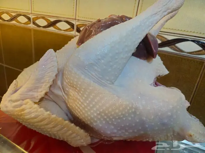 ديك رومي ذبح عند الطلب 3