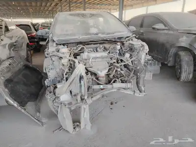 شيري ريد2017 3 index