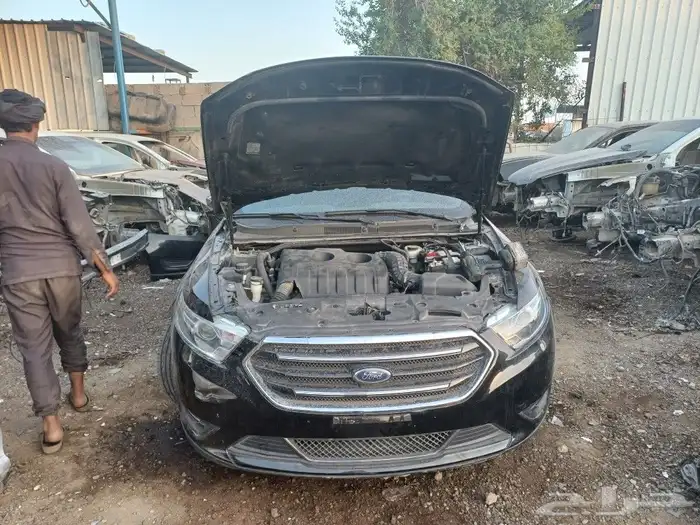 فرد تورس مديل 2014 9