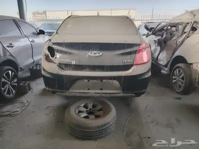 شيري ريد2017 3 index