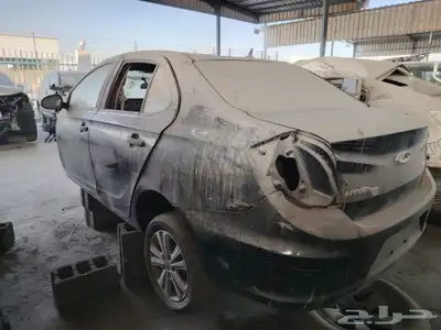 شيري ريد2017 3 index