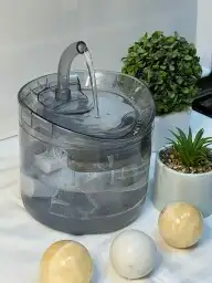 مشربية قطة 0