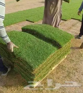 انجيله ثيل سي الفين درجه اولى شرط 6