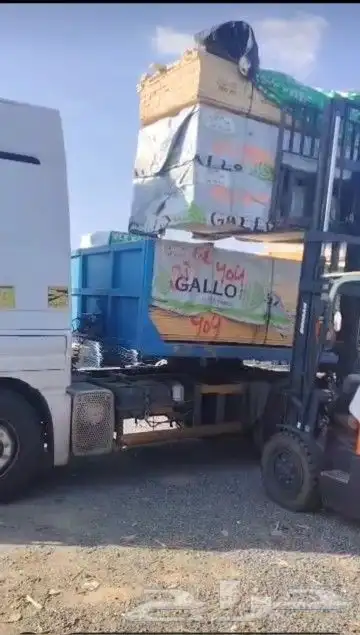 رافعه شوكيه اجار سكين 2