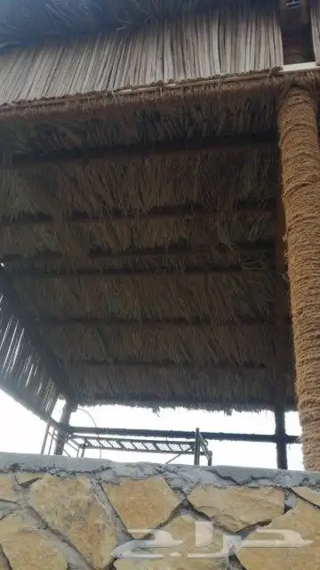 نقوم بتركيب الشبوك شبوك المزارع بجميع انواعها وتركيب جلسات ع 2