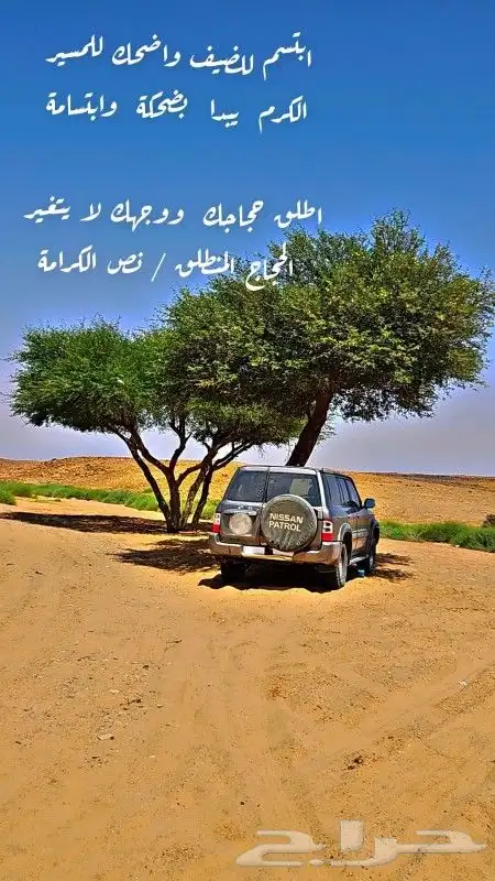 للبيع باترول فتك 2003 2