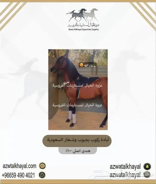 جلال خيل شتوي مبطن من الداخل فرو 4