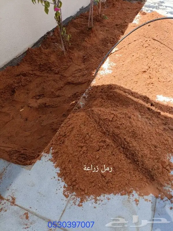 رمل زراعة رمل عادي حرسنه أسمنت بيسكورس الجبيل الصناعية 7
