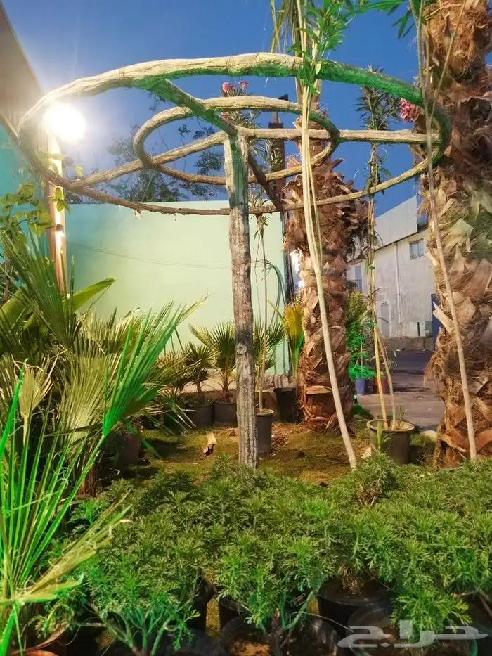 تنسيق حدائق 26