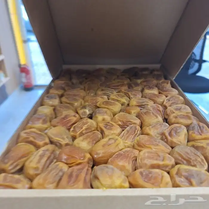 مفتل سكري ملكي فاخر على الشرط 2