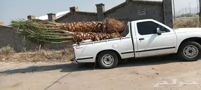 يوجد لدينا جميع انواع انخيل 2