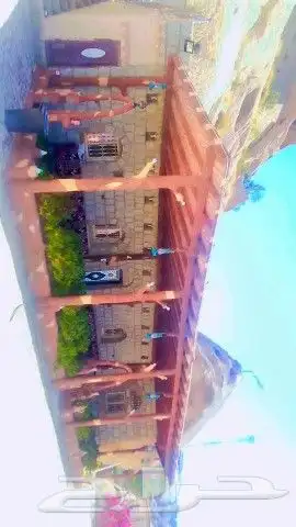 معلم تلبيس حجر ونقش وجميع الديكور ت 6