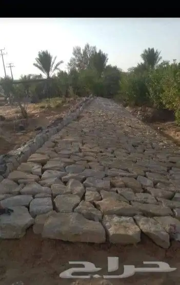 مقاول التراث الشعبي 5