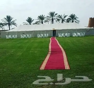 تاجير كنب مفرد كنب ثلاثي كنب للبيع تاجير كراسي ملكي زل ملكي 1