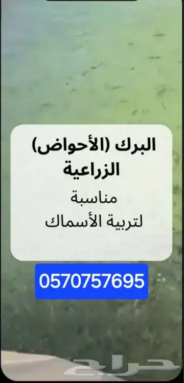 بلاستيك بحيرات تجميع مياه احواض سمك  عازل للمقاولات 1