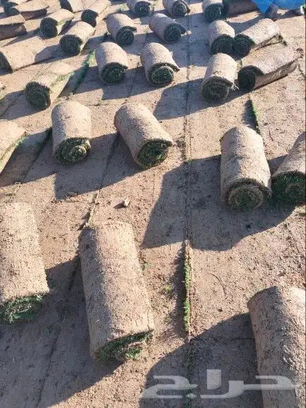 جميع انواع الثيل 4