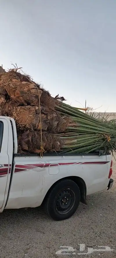 يوجد لدينا جميع انواع انخيل 9