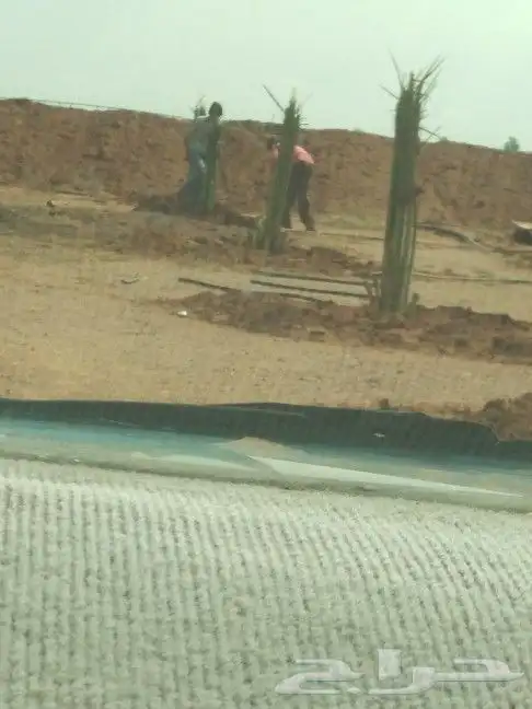 جميع انواع انخيل 5