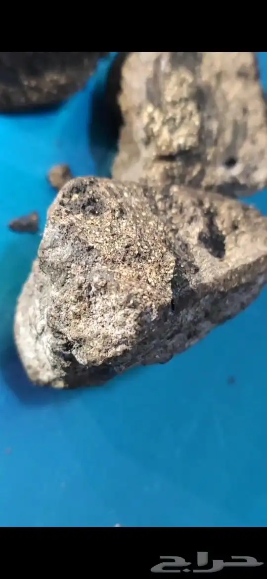 عنبر دخني اصلي درجه اولى 6