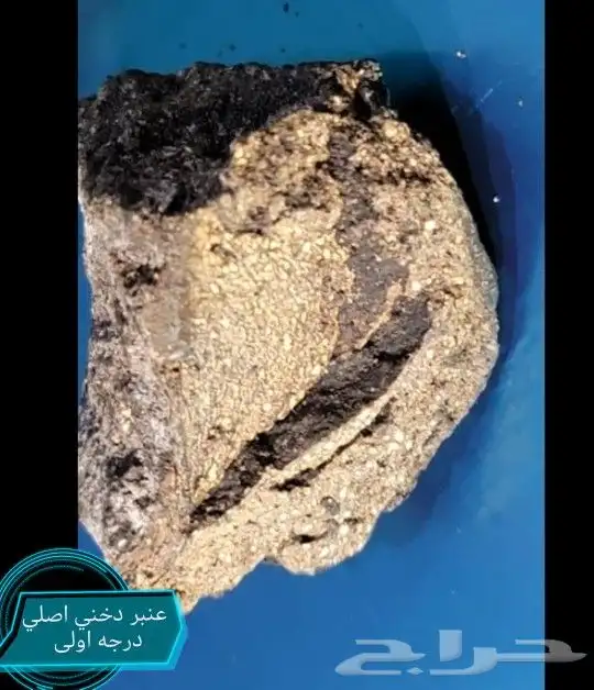 عنبر دخني اصلي درجه اولى 8