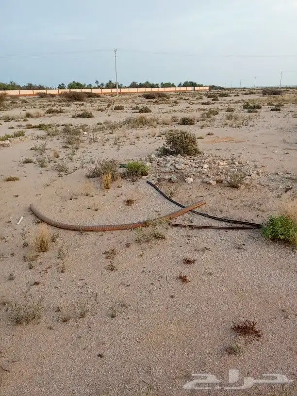 أرض في جزيرة فرسان قريبة من البحر 12
