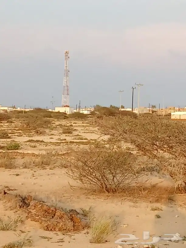 أرض في جزيرة فرسان قريبة من البحر 8