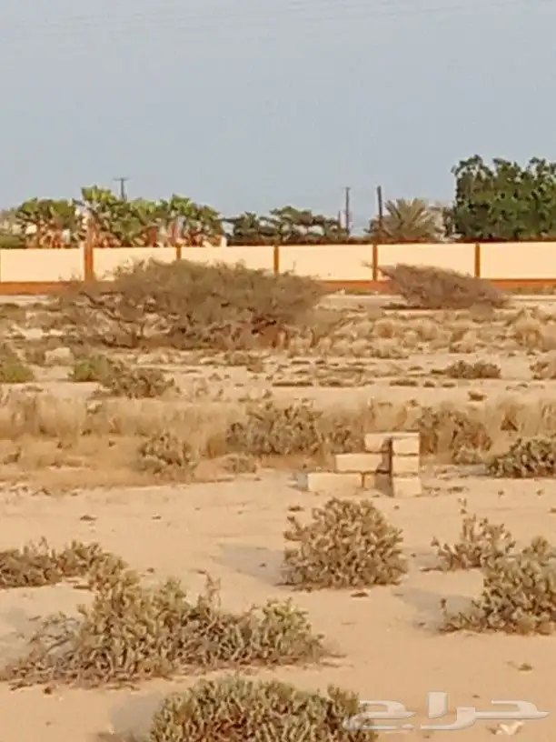 أرض في جزيرة فرسان قريبة من البحر 4