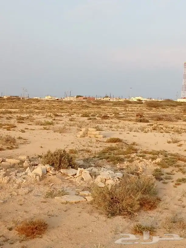 أرض في جزيرة فرسان قريبة من البحر 14