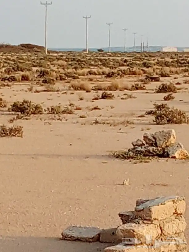 أرض في جزيرة فرسان قريبة من البحر 0