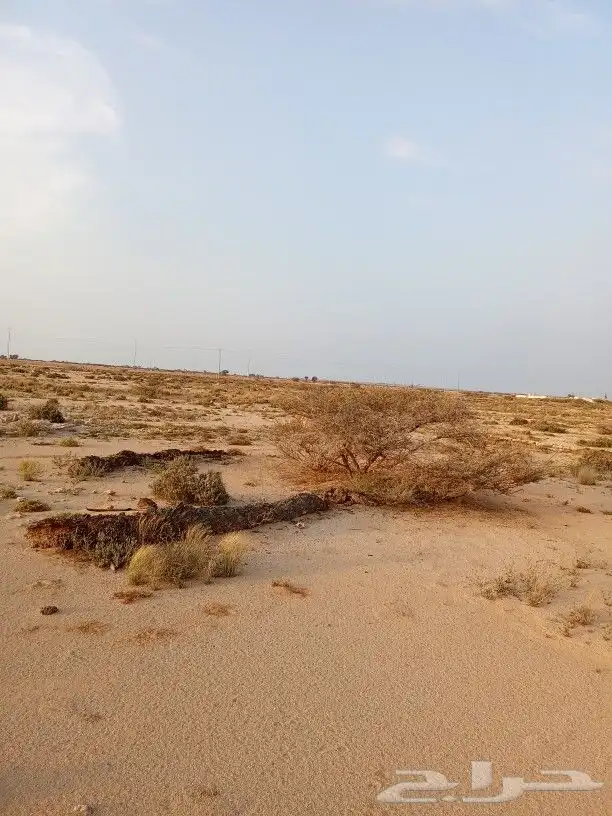 أرض في جزيرة فرسان قريبة من البحر 6
