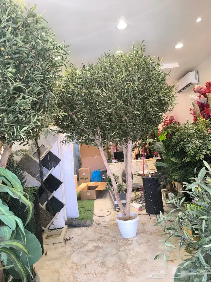 اشجار زيتون صناعي 5