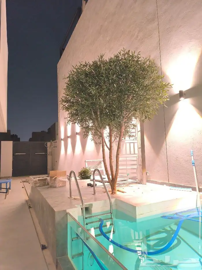 اشجار زيتون صناعي 0