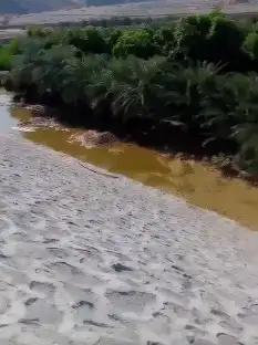 شغل حجر الربربه بأسعار مناسبه للتواصل الرقم   للمقا 5