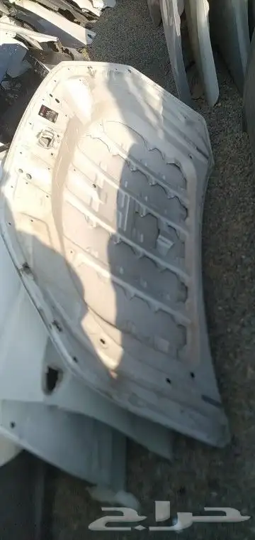 كبوت يارس 24 23 1