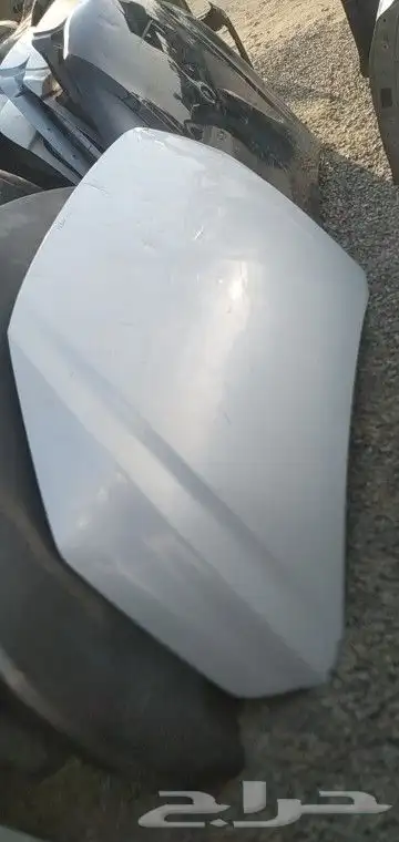 كبوت يارس 24 23 2