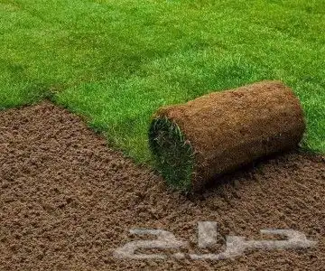 ثيل طبيعي صافي ونقي درجه اولى شرط 1