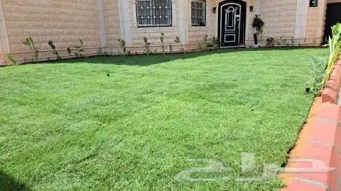 تنسبق حدائق حديثه 8