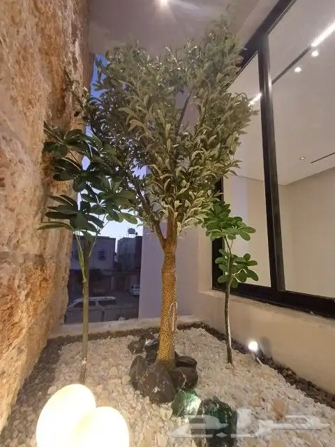 فلل روف 3