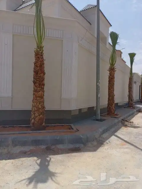 واشنطني زينه درجة أولى مروحه توريد وتركيب 0