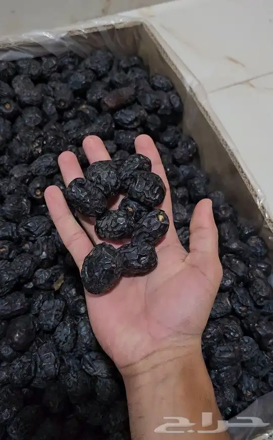 عجوة المدينة المنورة فاخرة انتاج عضوي 2