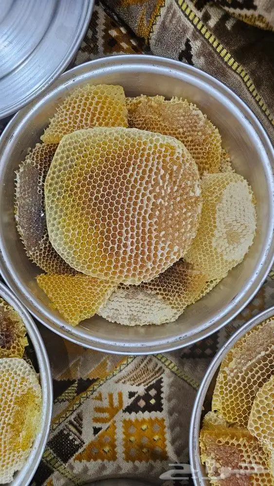 عسل سدر بلدي 1