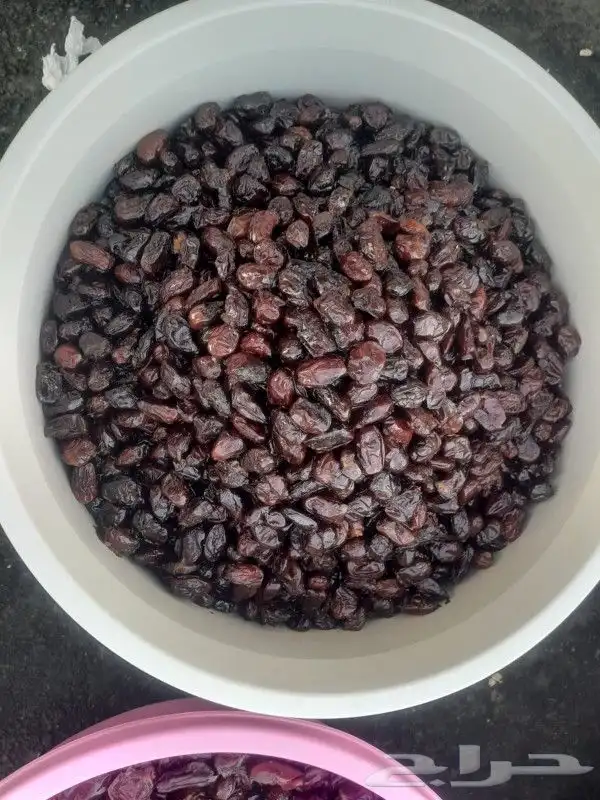 تمور حائل الفاخره 2