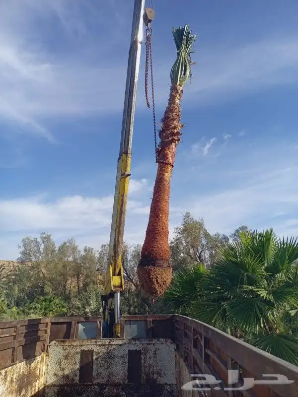 واشنطني زينه درجة أولى مروحه توريد وتركيب 3