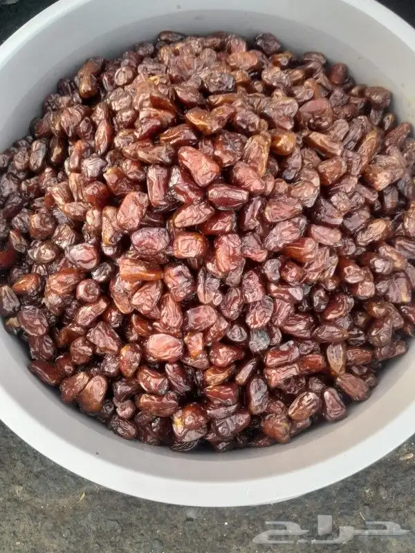 تمور حائل الفاخره 1