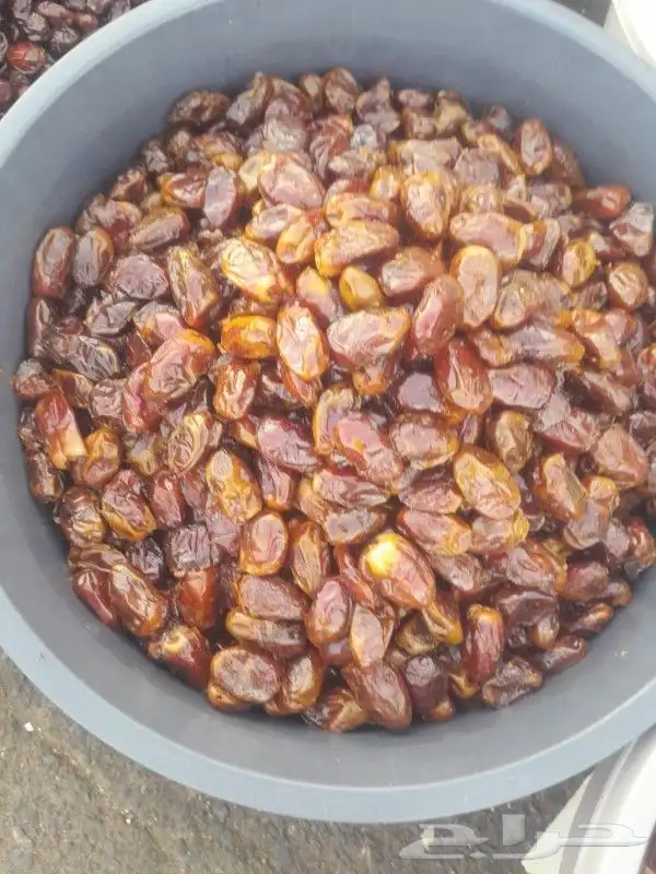 تمور حائل الفاخره 0